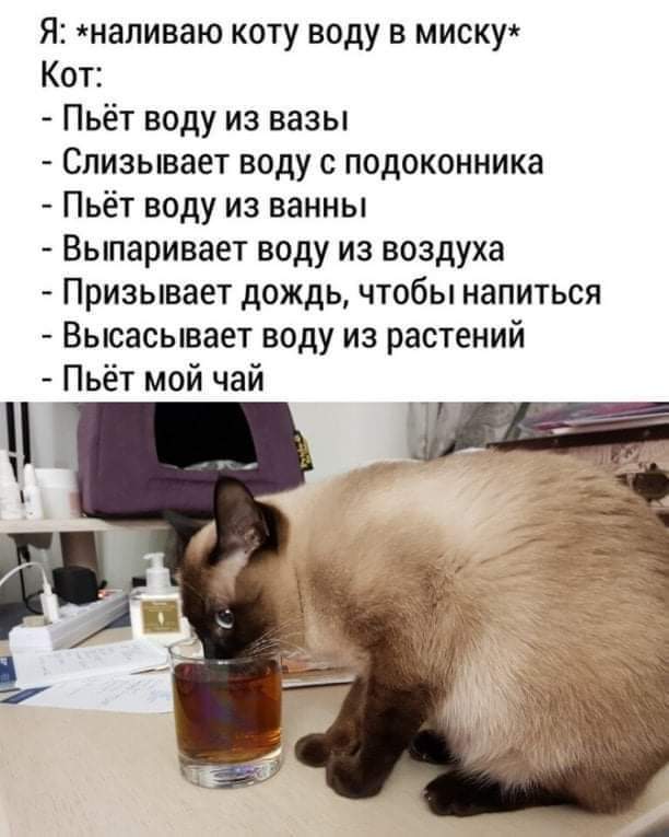 Всяческие картинки 22.11.2021
