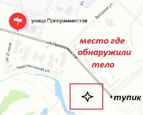 В Подмосковье 11-летний мальчик заблудился и замёрз насмерть
