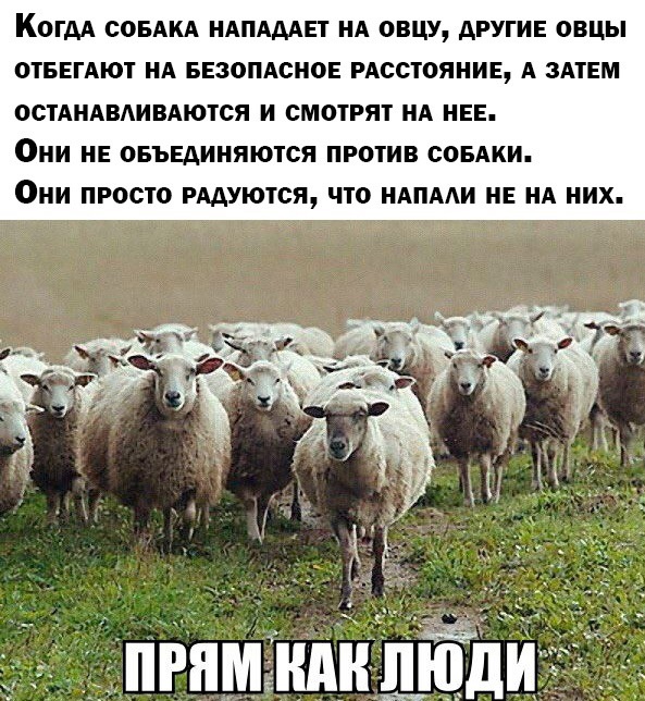 Так себе картинки 24.02.22