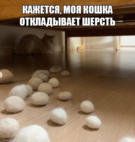 Так себе картинки 13.04.22