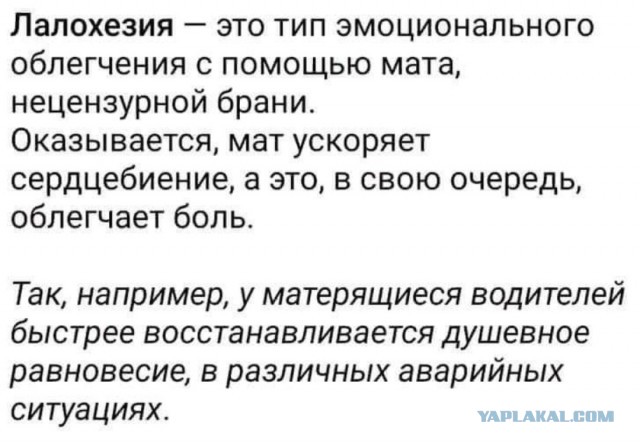 Так себе картинки 10.05.22