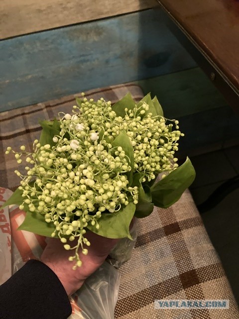Ушла жена