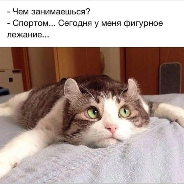Мало картинок