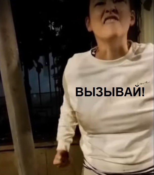 «Ты у*бок, а я москвичка»: женщина справила нужду в такси и кинула водителя на бабки
