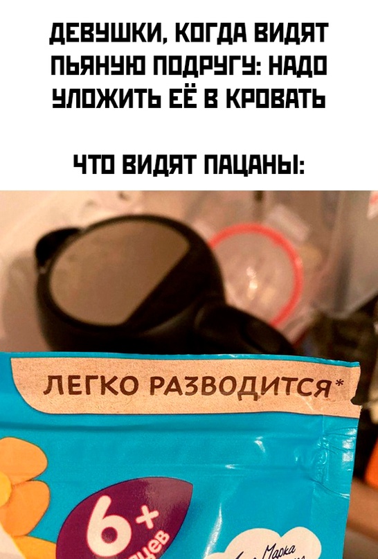 Весёлый полтишок 24.11.22