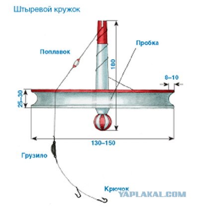 Кружки