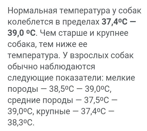 Собаки сутки согревали на морозе своего хозяина, у которого во время охоты случился инсульт