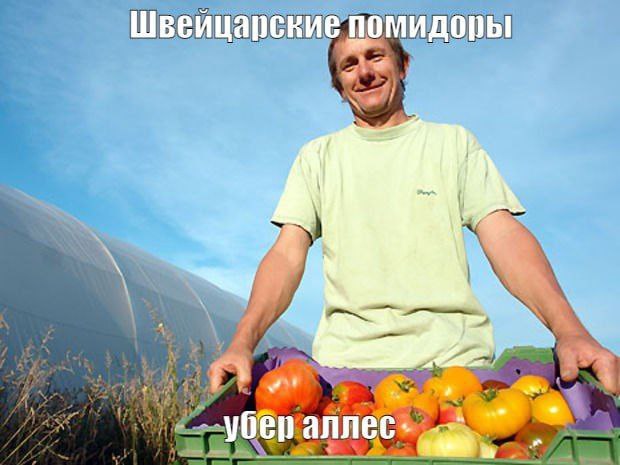 Победная поступь идиотизма по планете – том 5