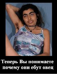 Афганский овцеёб...