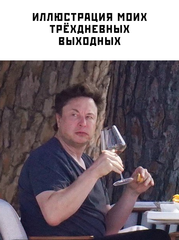 Весёлый полтишок 09.11.23