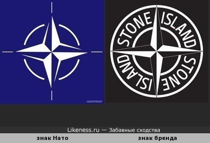 В курганской школе педагоги унизили учеников из-за шеврона Stone Island