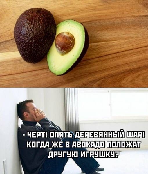 Немного забавных картинок