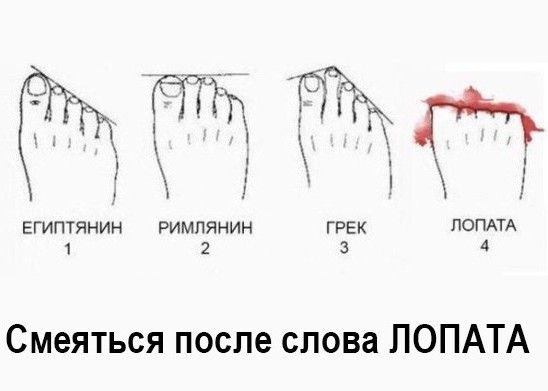 Встретились как-то в Сочи два юмориста...