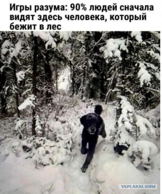 Давайте опубликуем
