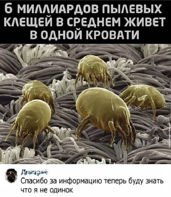 Про домашнюю одежду