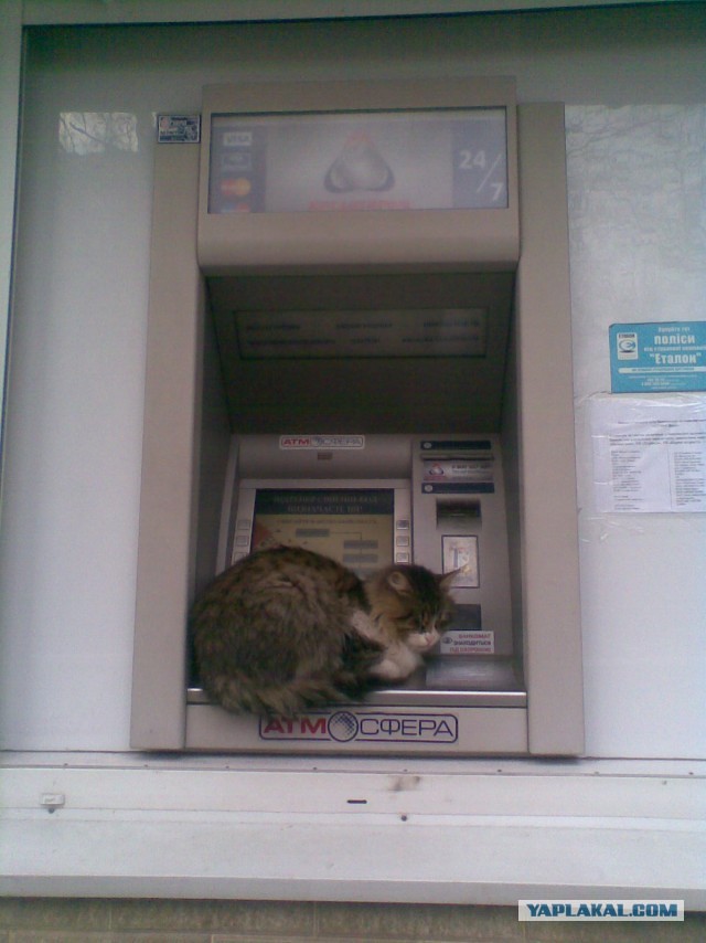 Подхожу к банкомату денег снять, а там...