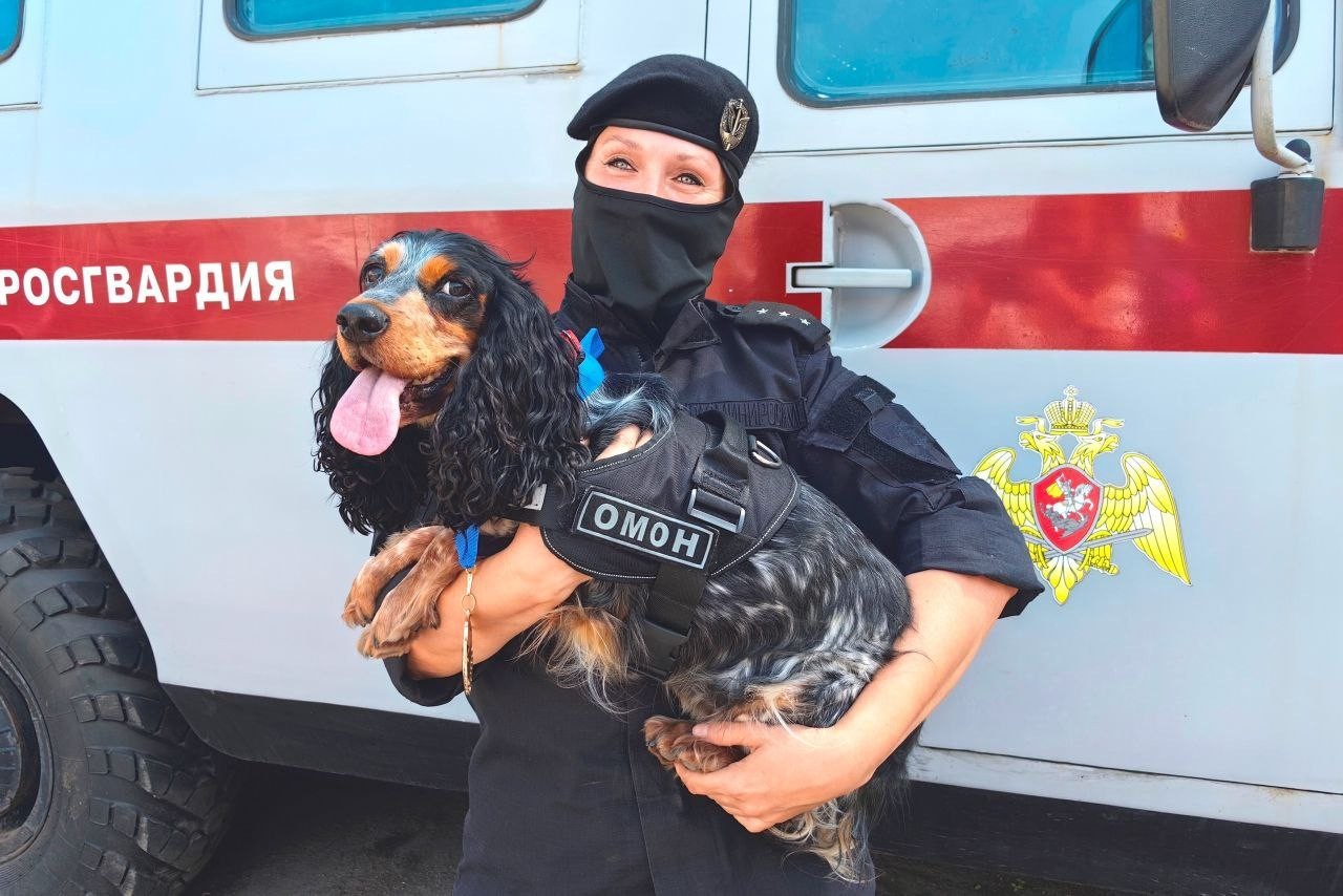Самый хороший и отважный хвостик отправился на заслуженную пенсию после многолетнего патрулирования в питерском ОМОНе