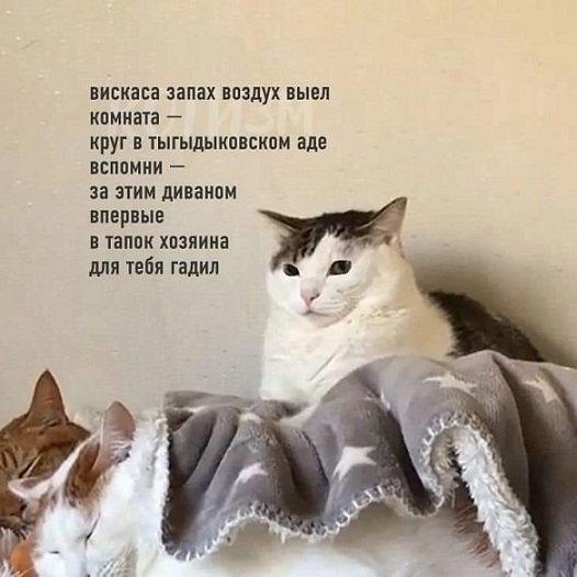 Прогноз выходного дня
