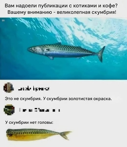 Набери меня...