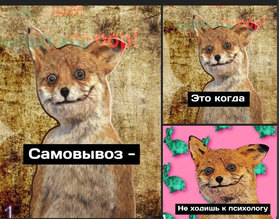 Не вывожу
