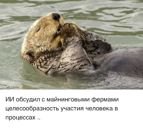 Картинки 15 октября