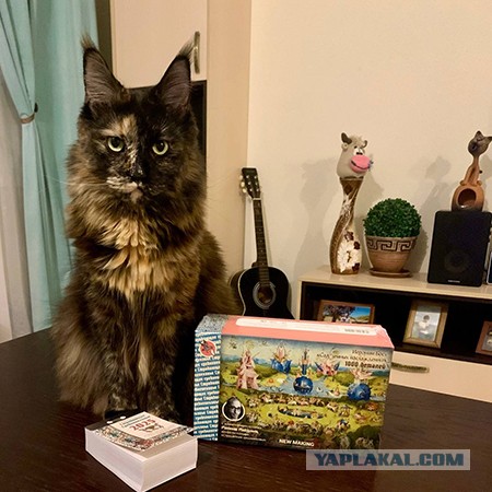 Вещь, которая  должна быть в каждом доме