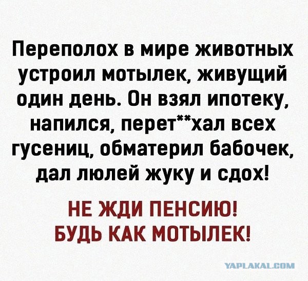 В Таиланде забытый дядюшка стал миллионером: родня сразу всполошилась
