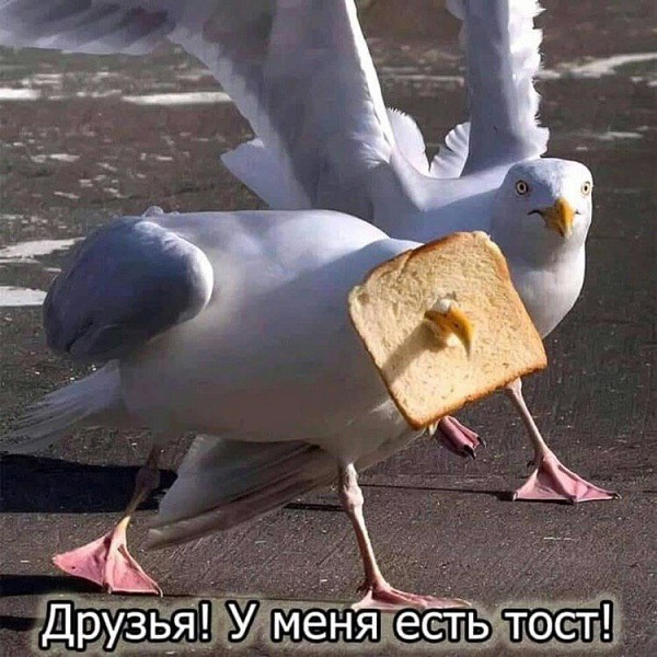 Среды картинки