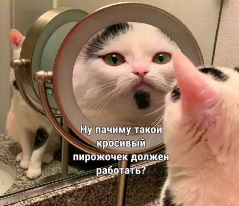 Котямбосы