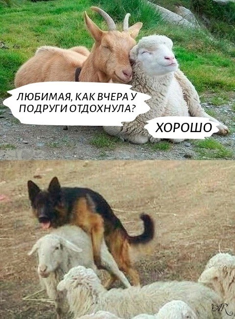 Среды картинки