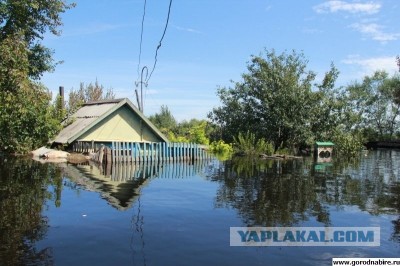 Наглядно о текущем уровне воды в Амуре