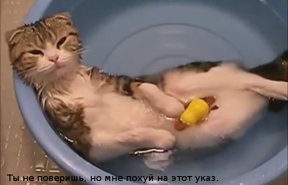 Актуально сегодня.....