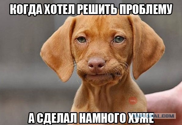 Смешные картинки