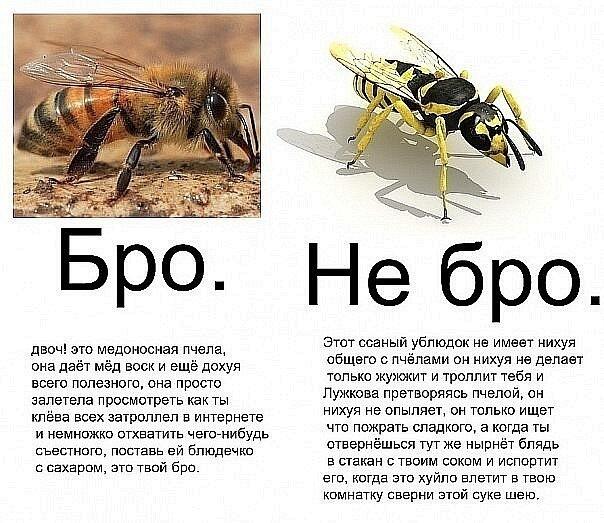 Моя месть!