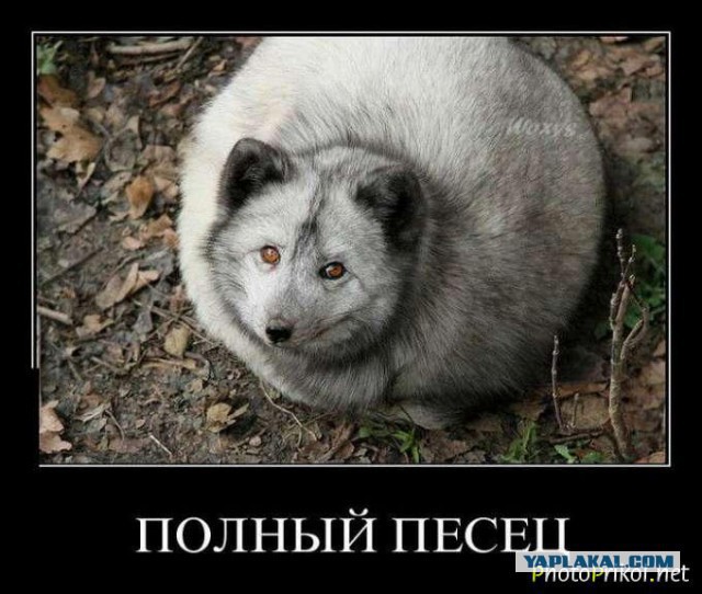 Решил включить с утра телевизор...