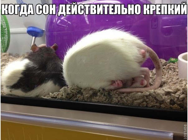 Снова картинки (что-то взгрустнулось)