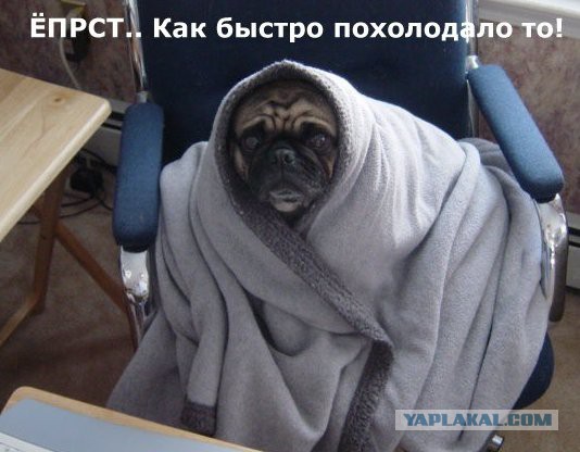 Для настроения!