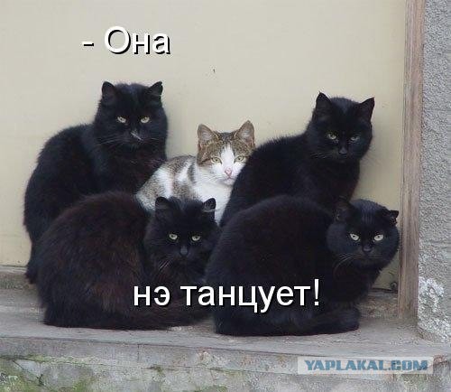 Немного позитива на пятницу