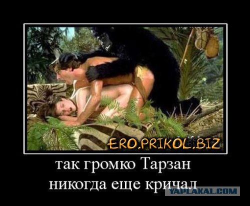 Жесть в лесу. 18+