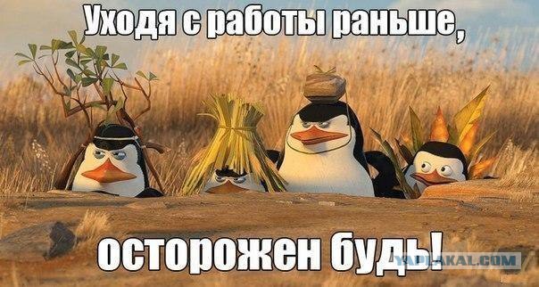 Веселые картинки
