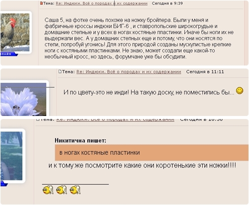 Итоги Кулинарного конкурса