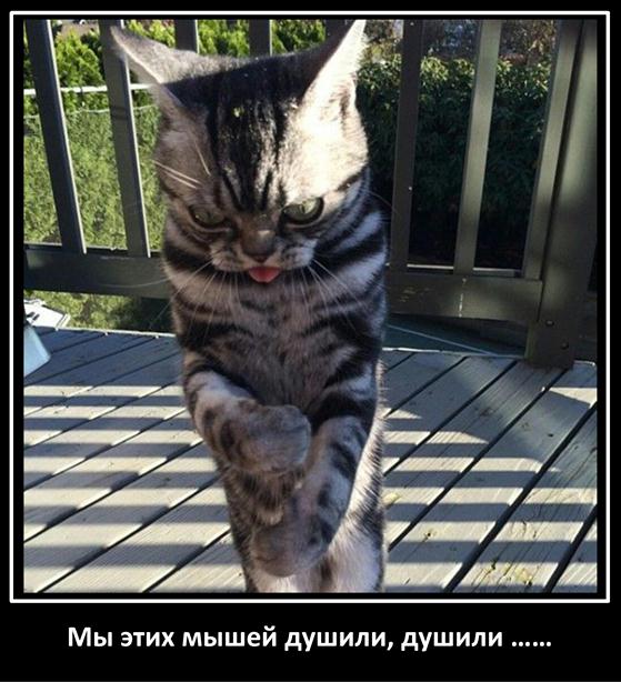Свежая подборка из тырнетов
