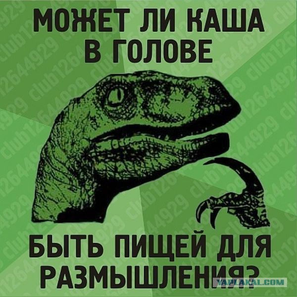Последние 1000 лет