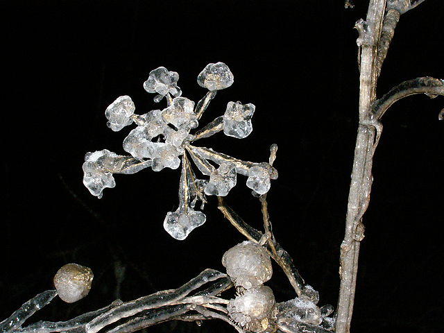 Ледяная зима