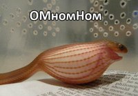 Спрос рождает предложение
