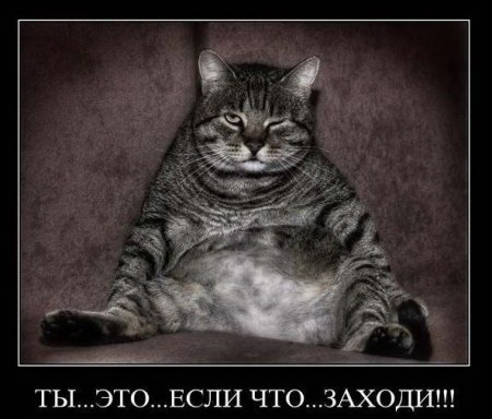 Прикольные картинки и демотиваторы