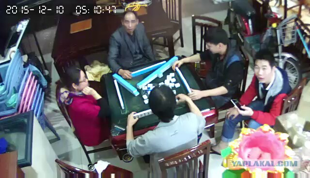 За что я люблю китайцев