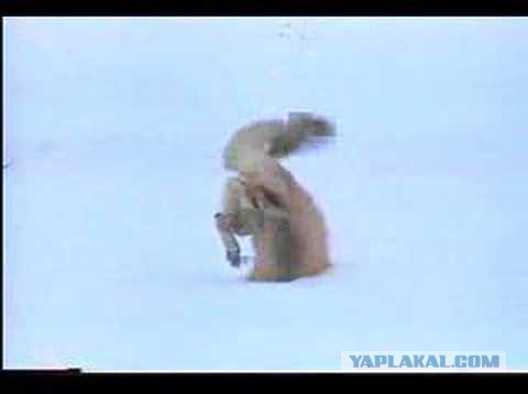 Праздники затянулись.