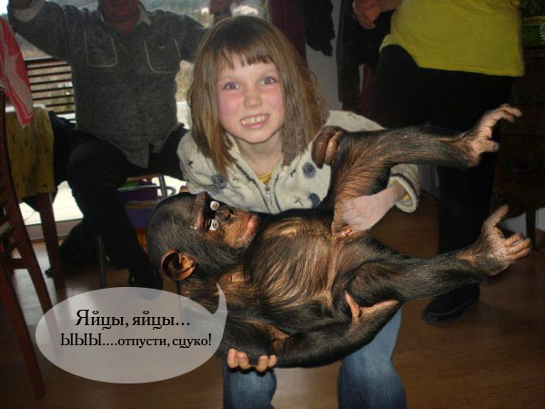 Грустный самец