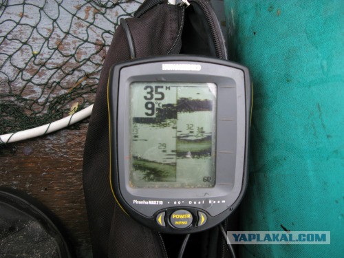 Веппский край, Южная тайга